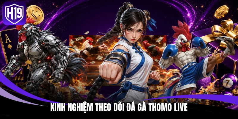 Kinh nghiệm theo dõi đá gà Thomo live